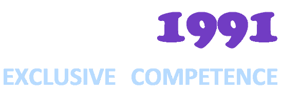 ecom1991 logo